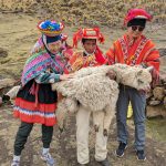 라마 알파카 블레싱 세리머니